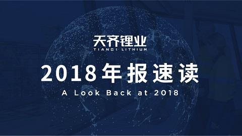 008PG国际锂业2018年整年实现营收净利润双增，垂直一体化的全球产业链布局护航当吓着势