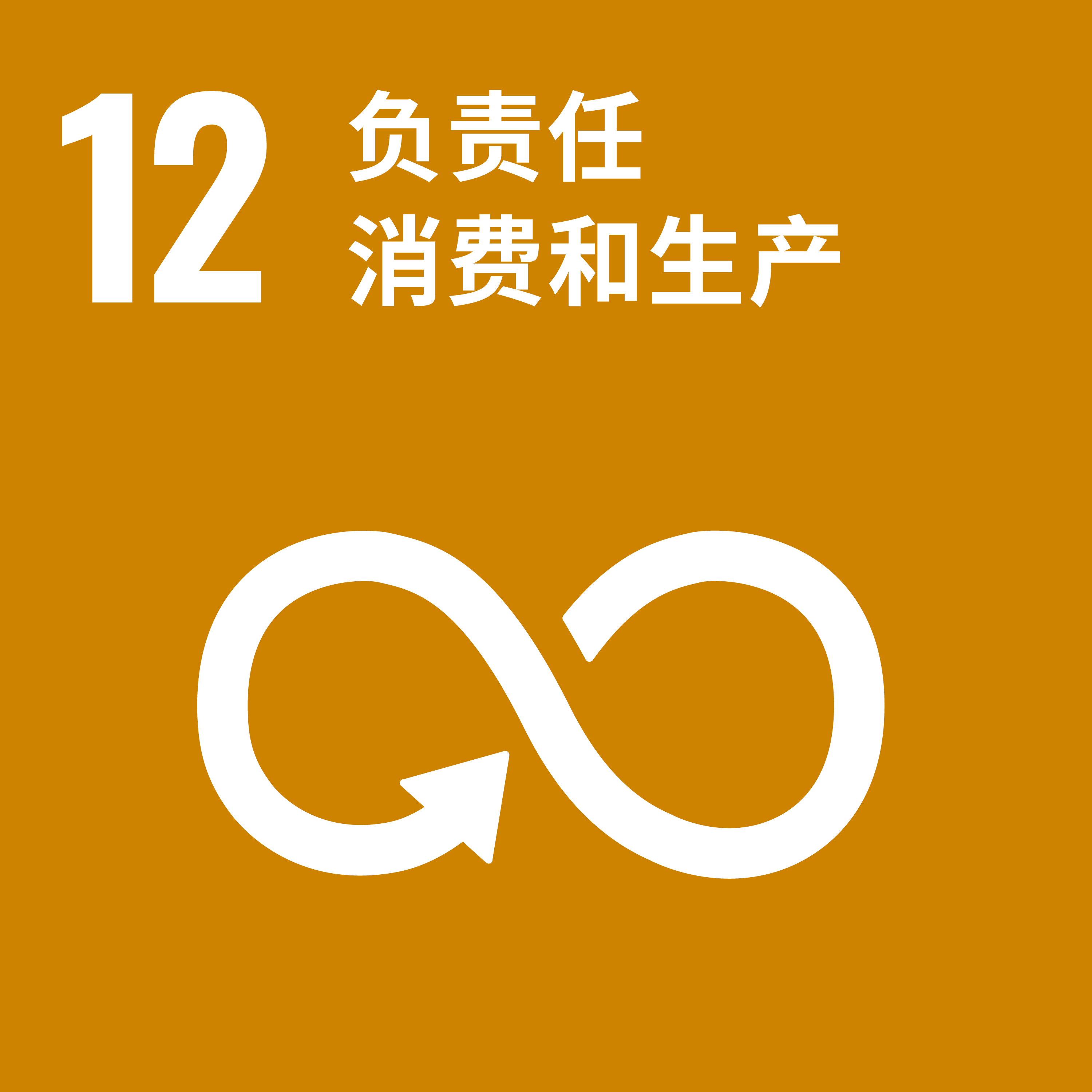 C_SDG_PRINT-12