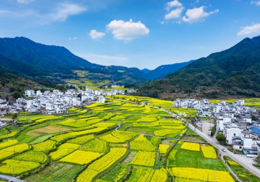 天然资源治理