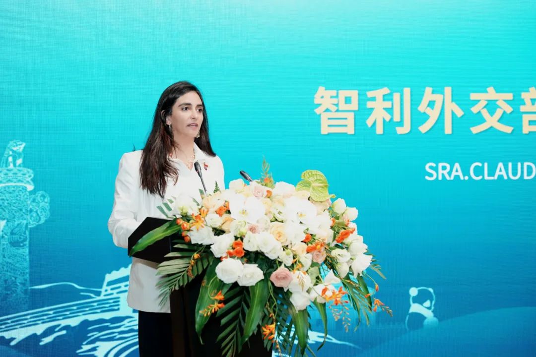 内容丰硕、硕果累累，中国（四川）—智利经贸投资合作论坛圆满进行