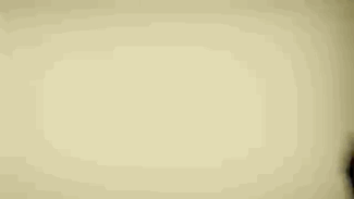 20231106170719_3778